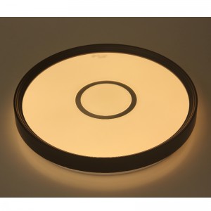 Lámpara de techo CX231